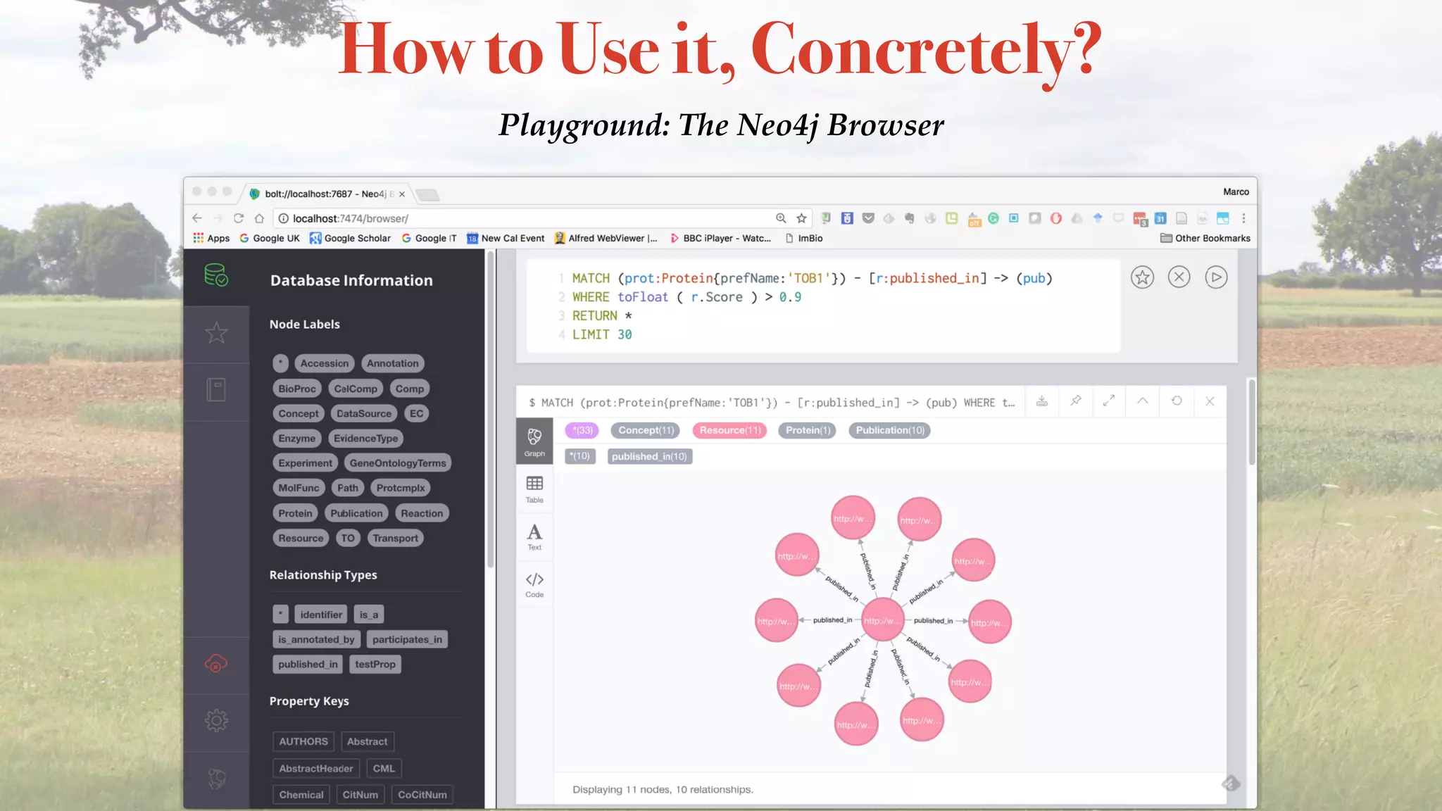 How to Use it, Concretely?
Playground: The Neo4j Browser
 