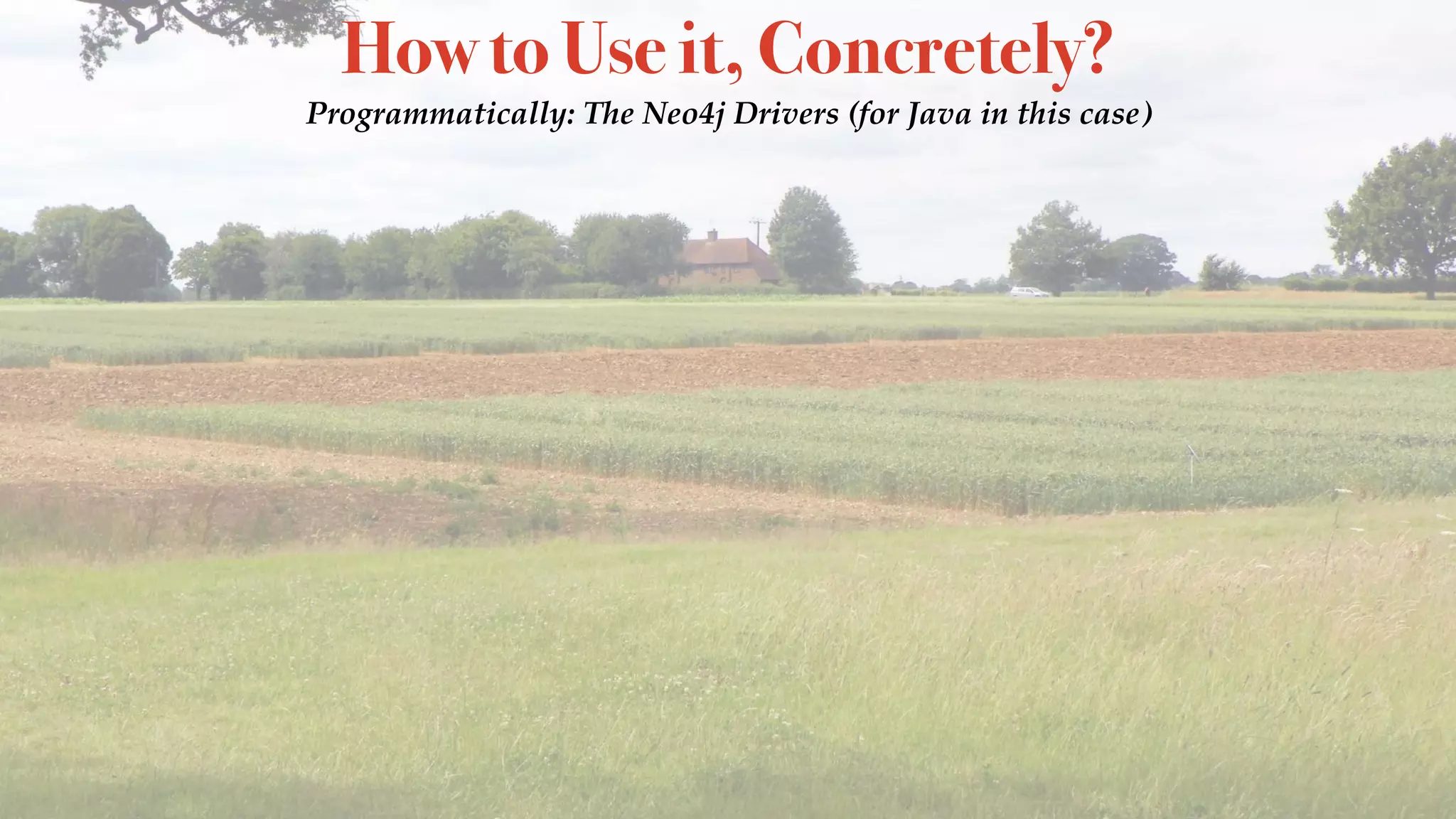 How to Use it, Concretely?
Programmatically: The Neo4j Drivers (for Java in this case)
 