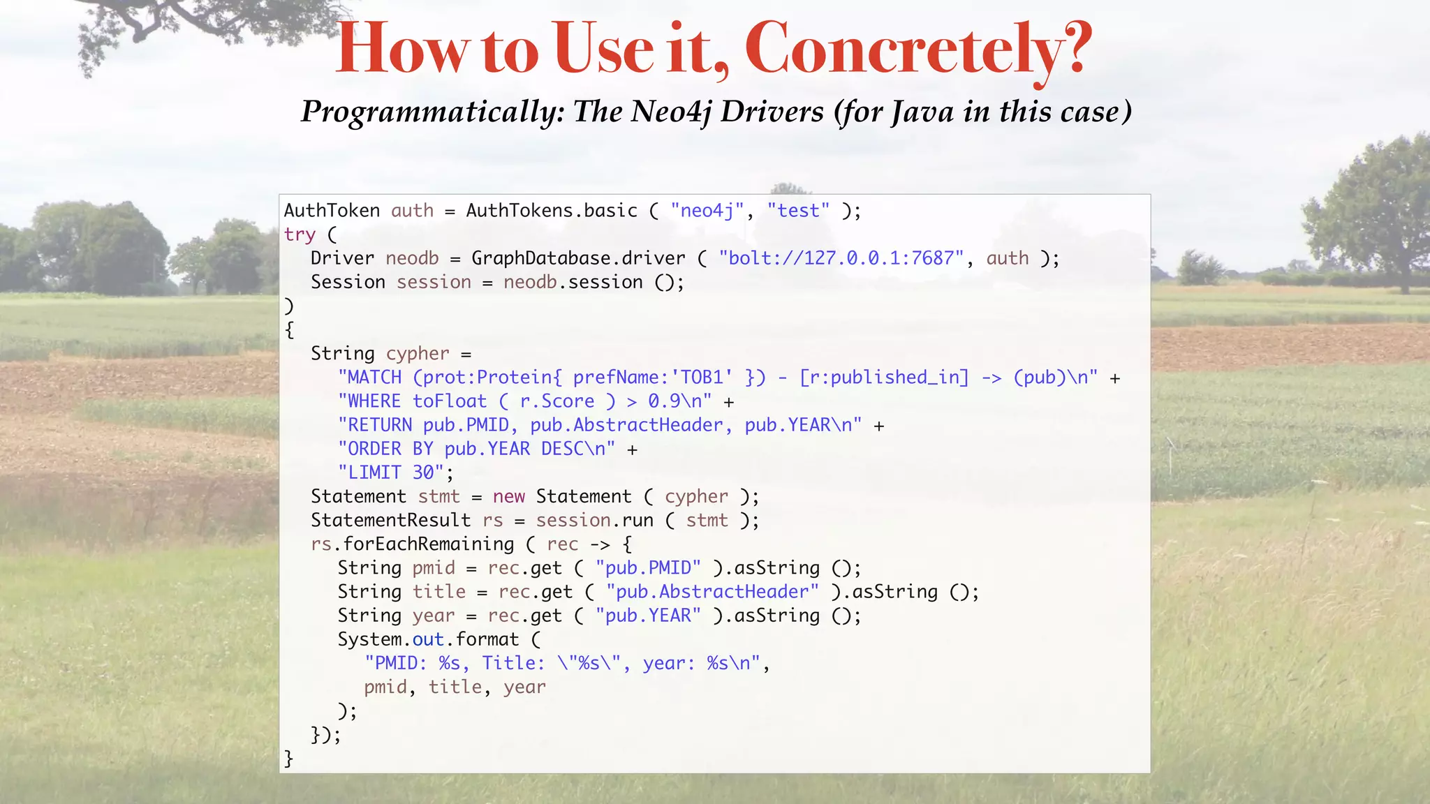 How to Use it, Concretely?
Programmatically: The Neo4j Drivers (for Java in this case)
AuthToken auth = AuthTokens.basic ( "neo4j", "test" );
try (
Driver neodb = GraphDatabase.driver ( "bolt://127.0.0.1:7687", auth );
Session session = neodb.session ();
)
{
String cypher =
"MATCH (prot:Protein{ prefName:'TOB1' }) - [r:published_in] -> (pub)n" +
"WHERE toFloat ( r.Score ) > 0.9n" +
"RETURN pub.PMID, pub.AbstractHeader, pub.YEARn" +
"ORDER BY pub.YEAR DESCn" +
"LIMIT 30";
Statement stmt = new Statement ( cypher );
StatementResult rs = session.run ( stmt );
rs.forEachRemaining ( rec -> {
String pmid = rec.get ( "pub.PMID" ).asString ();
String title = rec.get ( "pub.AbstractHeader" ).asString ();
String year = rec.get ( "pub.YEAR" ).asString ();
System.out.format (
"PMID: %s, Title: "%s", year: %sn",
pmid, title, year
);
});
}
 