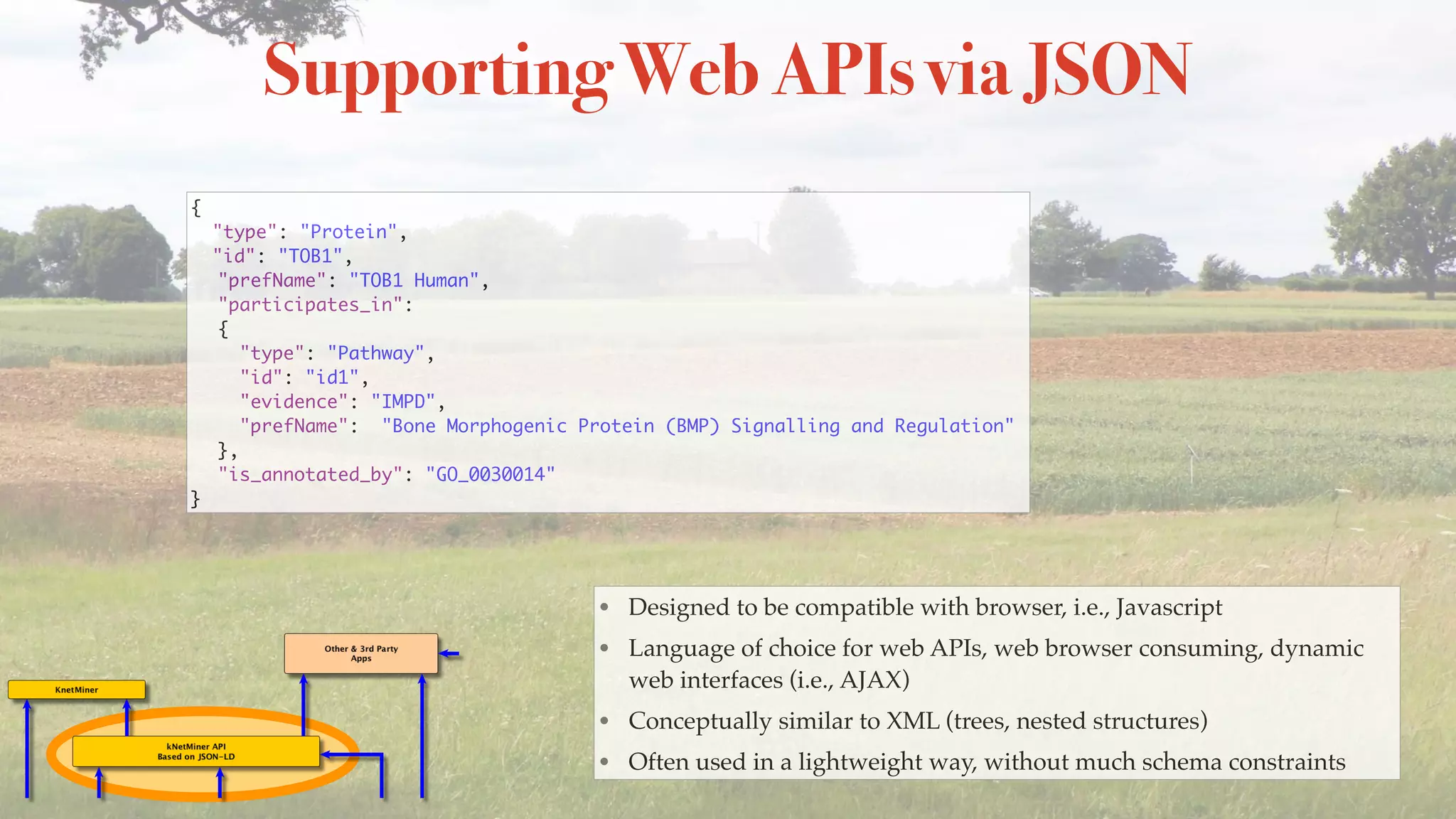 Supporting Web APIs via JSON
{
"type": "Protein",
"id": "TOB1",
"prefName": "TOB1 Human",
"participates_in":
{
"type": "Pathway",
"id": "id1",
"evidence": "IMPD",
"prefName": "Bone Morphogenic Protein (BMP) Signalling and Regulation"
},
"is_annotated_by": "GO_0030014"
}
• Designed to be compatible with browser, i.e., Javascript
• Language of choice for web APIs, web browser consuming, dynamic
web interfaces (i.e., AJAX)
• Conceptually similar to XML (trees, nested structures)
• Often used in a lightweight way, without much schema constraints
 