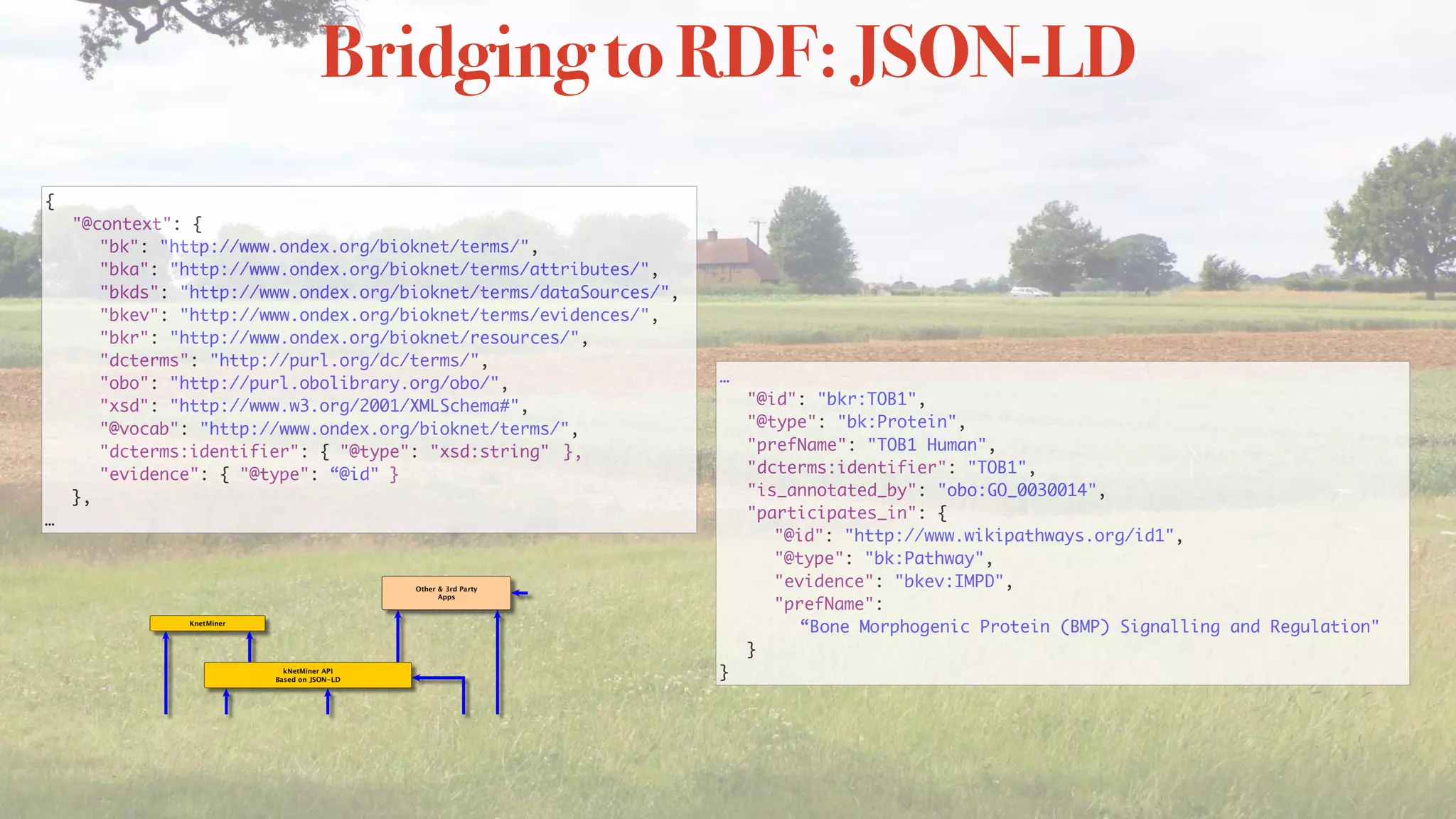 Bridging to RDF: JSON-LD
…
"@id": "bkr:TOB1",
"@type": "bk:Protein",
"prefName": "TOB1 Human",
"dcterms:identifier": "TOB1",
"is_annotated_by": "obo:GO_0030014",
"participates_in": {
"@id": "http://www.wikipathways.org/id1",
"@type": "bk:Pathway",
"evidence": "bkev:IMPD",
"prefName": 
“Bone Morphogenic Protein (BMP) Signalling and Regulation"
}
}
{
"@context": {
"bk": "http://www.ondex.org/bioknet/terms/",
"bka": "http://www.ondex.org/bioknet/terms/attributes/",
"bkds": "http://www.ondex.org/bioknet/terms/dataSources/",
"bkev": "http://www.ondex.org/bioknet/terms/evidences/",
"bkr": "http://www.ondex.org/bioknet/resources/",
"dcterms": "http://purl.org/dc/terms/",
"obo": "http://purl.obolibrary.org/obo/",
"xsd": "http://www.w3.org/2001/XMLSchema#",
"@vocab": "http://www.ondex.org/bioknet/terms/",
"dcterms:identifier": { "@type": "xsd:string" },
"evidence": { "@type": “@id" }
},
…
 