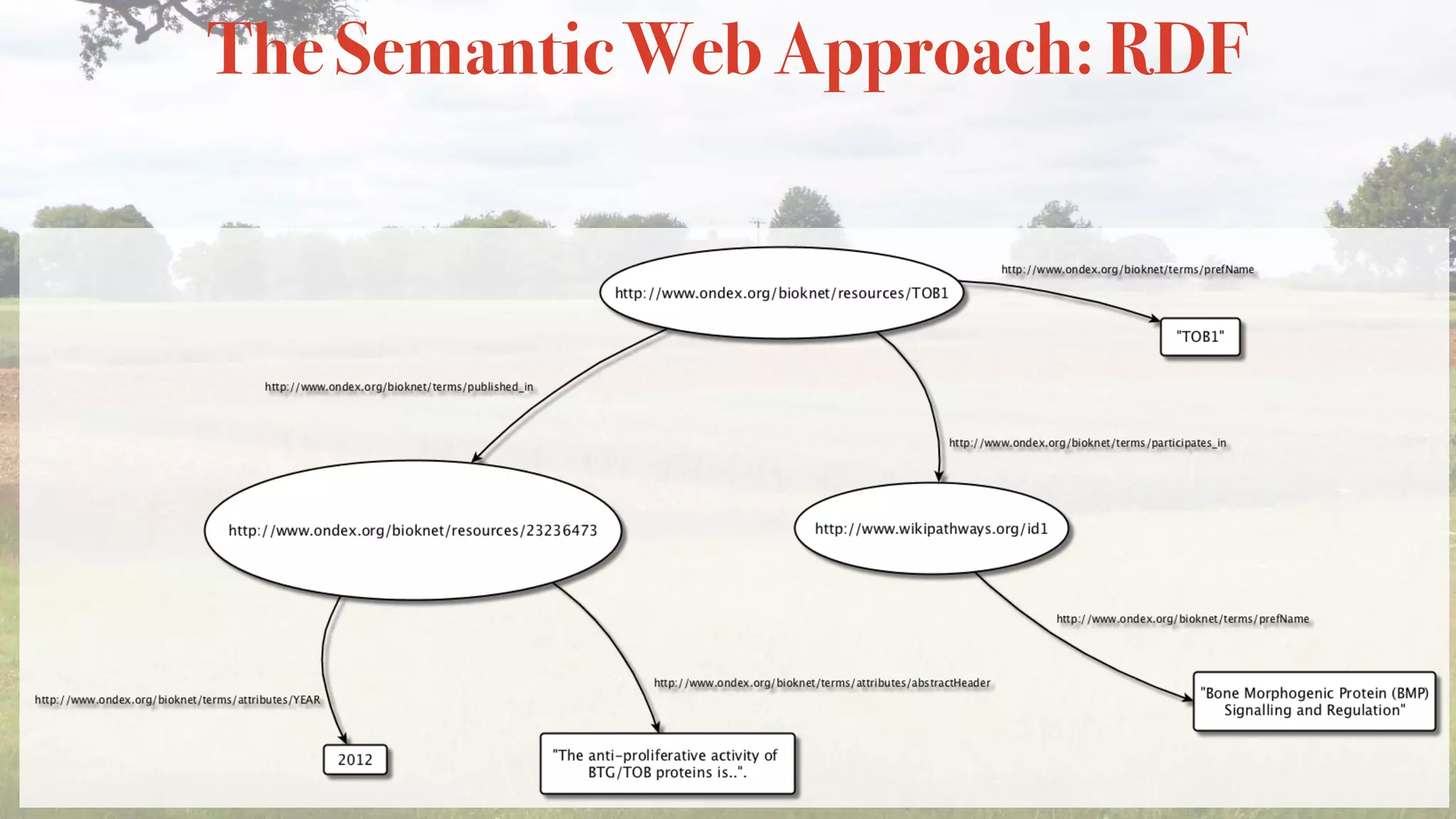 The Semantic Web Approach: RDF
 
