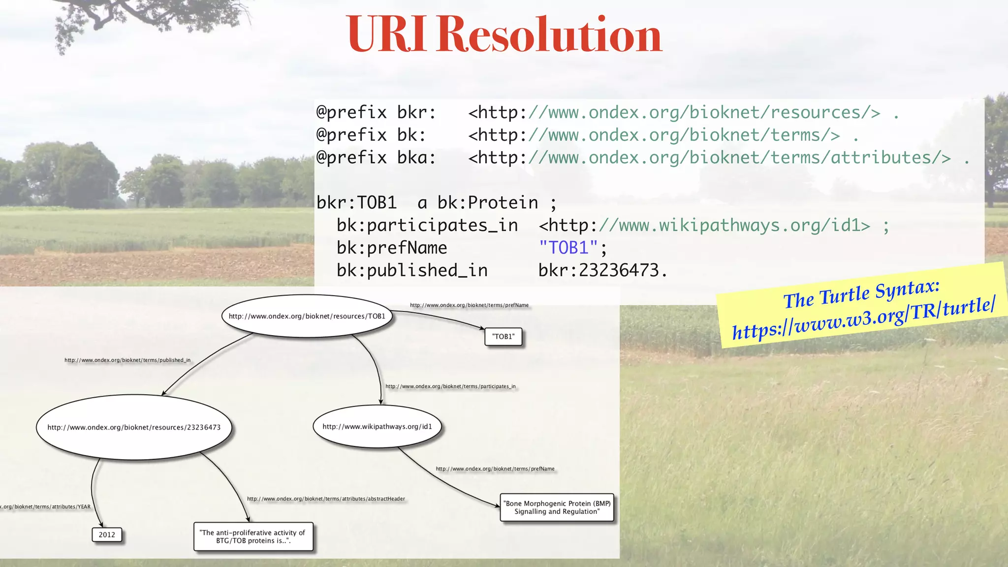 URI Resolution
@prefix bkr: <http://www.ondex.org/bioknet/resources/> .
@prefix bk: <http://www.ondex.org/bioknet/terms/> .
@prefix bka: <http://www.ondex.org/bioknet/terms/attributes/> .
bkr:TOB1 a bk:Protein ;
bk:participates_in <http://www.wikipathways.org/id1> ;
bk:prefName "TOB1";
bk:published_in bkr:23236473. 
The Turtle Syntax:
https://www.w3.org/TR/turtle/
 