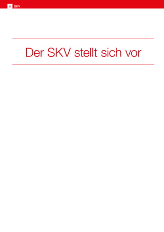 SKV Imagebroschüre 2020