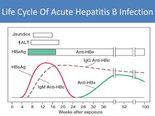 Recent guidelines in the management of chronic hepatitis | PPTX
