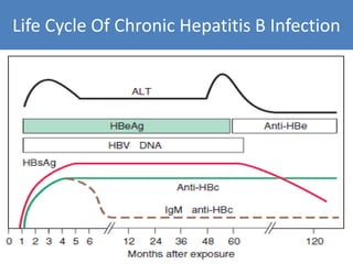 Recent guidelines in the management of chronic hepatitis | PPTX
