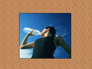 Ibadah Perkara harus