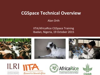 CGSpace Technical Overview
Alan Orth
IITA/AfricaRice CGSpace Training
Ibadan, Nigeria, 19 October 2015
 