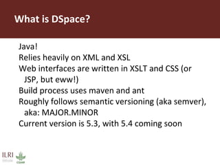 CGSpace technical overview