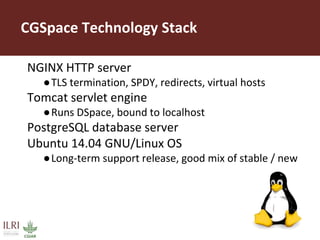 CGSpace technical overview