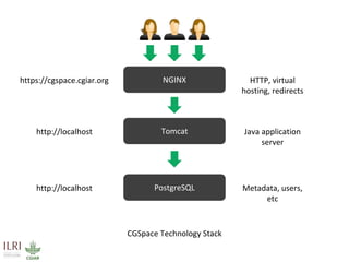 CGSpace technical overview
