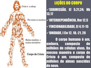 LIÇÕES DO CORPO
SUBMISSÃO, Ef 5.21,24; Hb
13.17
INTERDEPENDÊNCIA, Rm 12.5
FINCIONABILIDADE,Ef 4.11-15
UNIDADE, I Co 12. 18,-21, 26
O corpo humano é um,
embora, composto de
milhões de células vivas. Da
mesma maneira o corpo de
Cristo é um, composto de
milhões de almas nascidas
de novo.
 