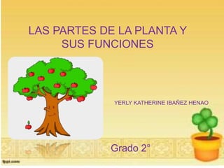 LAS PARTES DE LA PLANTA Y
SUS FUNCIONES
YERLY KATHERINE IBAÑEZ HENAO
Grado 2°
 