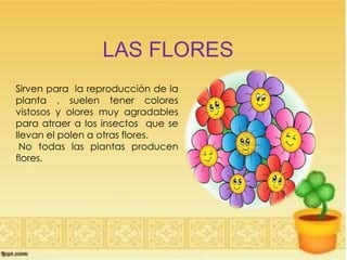 LAS FLORES
Sirven para la reproducción de la
planta , suelen tener colores
vistosos y olores muy agradables
para atraer a los insectos que se
llevan el polen a otras flores.
No todas las plantas producen
flores.
 