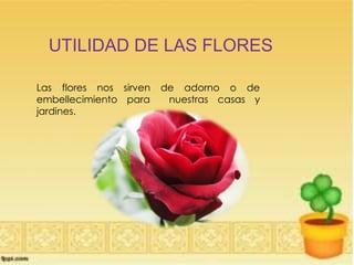 UTILIDAD DE LAS FLORES
Las flores nos sirven de adorno o de
embellecimiento para nuestras casas y
jardines.
 