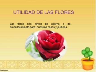 UTILIDAD DE LAS FLORES 
Las flores nos sirven de adorno o de 
embellecimiento para nuestras casas y jardines. 
 