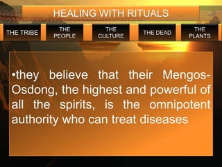 HEALING WITH RITUALS
             THE       THE                  THE
THE TRIBE                      THE DEAD
            PEOPLE   CULTURE              PLANTS




 •they believe that their Mengos-
 Osdong, the highest and powerful of
 all the spirits, is the omnipotent
 authority who can treat diseases
 