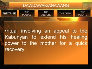 DAWDAWAK/ANAWANG
             THE       THE                  THE
THE TRIBE                      THE DEAD
            PEOPLE   CULTURE              PLANTS




 •ritual involving an appeal to the
 Kabunyan to extend his healing
 power to the mother for a quick
 recovery
 