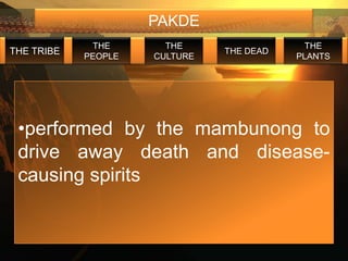 PAKDE
             THE       THE                  THE
THE TRIBE                      THE DEAD
            PEOPLE   CULTURE              PLANTS




 •performed by the mambunong to
 drive away death and disease-
 causing spirits
 