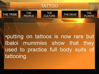 TATTOO
             THE       THE                  THE
THE TRIBE                      THE DEAD
            PEOPLE   CULTURE              PLANTS




 •putting on tattoos is now rare but
 Ibaloi mummies show that they
 used to practice full body suits of
 tattooing
 