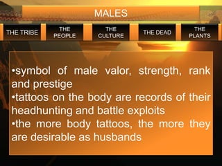 MALES
             THE       THE                  THE
THE TRIBE                      THE DEAD
            PEOPLE   CULTURE              PLANTS




 •symbol of male valor, strength, rank
 and prestige
 •tattoos on the body are records of their
 headhunting and battle exploits
 •the more body tattoos, the more they
 are desirable as husbands
 