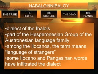 NABALOI/INIBALOY
             THE       THE                  THE
THE TRIBE                      THE DEAD
            PEOPLE   CULTURE              PLANTS




 •dialect of the Ibalois
 •part of the Hesperonesian Group of the
 Austronesian language family
 •among the Ilocanos, the term means
 “language of strangers”
 •some Ilocano and Pangasinan words
 have infiltrated the dialect
 