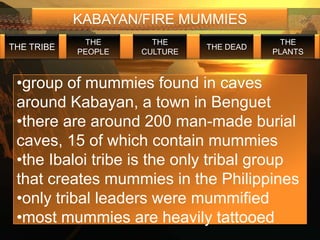 KABAYAN/FIRE MUMMIES
             THE       THE                  THE
THE TRIBE                      THE DEAD
            PEOPLE   CULTURE              PLANTS



 •group of mummies found in caves
 around Kabayan, a town in Benguet
 •there are around 200 man-made burial
 caves, 15 of which contain mummies
 •the Ibaloi tribe is the only tribal group
 that creates mummies in the Philippines
 •only tribal leaders were mummified
 •most mummies are heavily tattooed
 