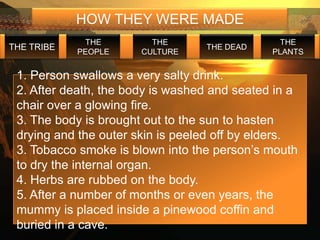 HOW THEY WERE MADE
             THE         THE                    THE
THE TRIBE                         THE DEAD
            PEOPLE     CULTURE                PLANTS


 1. Person swallows a very salty drink.
 2. After death, the body is washed and seated in a
 chair over a glowing fire.
 3. The body is brought out to the sun to hasten
 drying and the outer skin is peeled off by elders.
 3. Tobacco smoke is blown into the person’s mouth
 to dry the internal organ.
 4. Herbs are rubbed on the body.
 5. After a number of months or even years, the
 mummy is placed inside a pinewood coffin and
 buried in a cave.
 