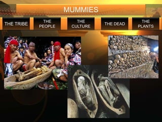 MUMMIES
             THE        THE                  THE
THE TRIBE                       THE DEAD
            PEOPLE    CULTURE              PLANTS
 