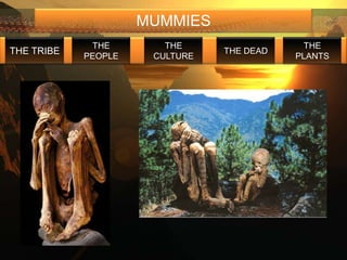 MUMMIES
             THE        THE                  THE
THE TRIBE                       THE DEAD
            PEOPLE    CULTURE              PLANTS
 