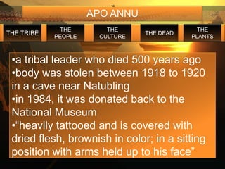 •a

                     APO ANNU
             THE        THE                  THE
THE TRIBE                       THE DEAD
            PEOPLE    CULTURE              PLANTS



 •a tribal leader who died 500 years ago
 •body was stolen between 1918 to 1920
 in a cave near Natubling
 •in 1984, it was donated back to the
 National Museum
 •“heavily tattooed and is covered with
 dried flesh, brownish in color; in a sitting
 position with arms held up to his face”
 