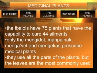 MEDICINAL PLANTS
             THE       THE                  THE
THE TRIBE                      THE DEAD
            PEOPLE   CULTURE              PLANTS




 •the Ibalois have 75 plants that have the
 capability to cure 44 ailments
 •only the mengidot, manpa’nak,
 menga’vet and mengekas prescribe
 medical plants
 •they use all the parts of the plants, but
 the leaves are the most commonly used
 