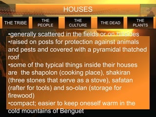 HOUSES
             THE        THE                    THE
THE TRIBE                         THE DEAD
            PEOPLE    CULTURE                PLANTS

 •generally scattered in the fields or on hillsides
 •raised on posts for protection against animals
 and pests and covered with a pyramidal thatched
 roof
 •some of the typical things inside their houses
 are the shapolon (cooking place), shakiran
 (three stones that serve as a stove), safatan
 (rafter for tools) and so-olan (storage for
 firewood)
 •compact; easier to keep oneself warm in the
 cold mountains of Benguet
 