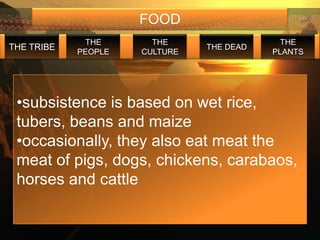 FOOD
             THE       THE                  THE
THE TRIBE                      THE DEAD
            PEOPLE   CULTURE              PLANTS




 •subsistence is based on wet rice,
 tubers, beans and maize
 •occasionally, they also eat meat the
 meat of pigs, dogs, chickens, carabaos,
 horses and cattle
 