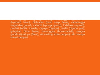  Fruits and seeds of plants are also considered food (maca-
macan) among the Ibanags. These are amale (butterfly bean),
anta (string beans), anta (string beans), apape (balsam pear),
balatung (green gram), Baranghenas (eggplant), bassaw
(hyacinth bean), bichuelas (bush snap bean), cabatengga
(vegetable gourd), cabatiti (sponge gourd), Calabasa (squash),
candoli (white squash), capaya (papaya), cardis (pigeon pea),
gulapitan (lima bean), marunggay (horse-radish), nangca
(jackfruit),saluyu (Okra), sili amiling (chile pepper), sili macopa
(sweet pepper).
 
