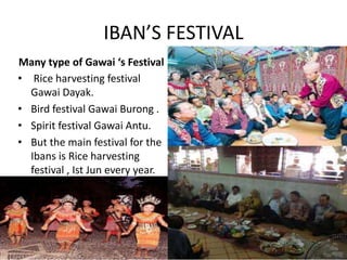 IBAN’S FESTIVAL
Many type of Gawai ‘s Festival
• Rice harvesting festival
Gawai Dayak.
• Bird festival Gawai Burong .
• Spirit festival Gawai Antu.
• But the main festival for the
Ibans is Rice harvesting
festival , Ist Jun every year.
 