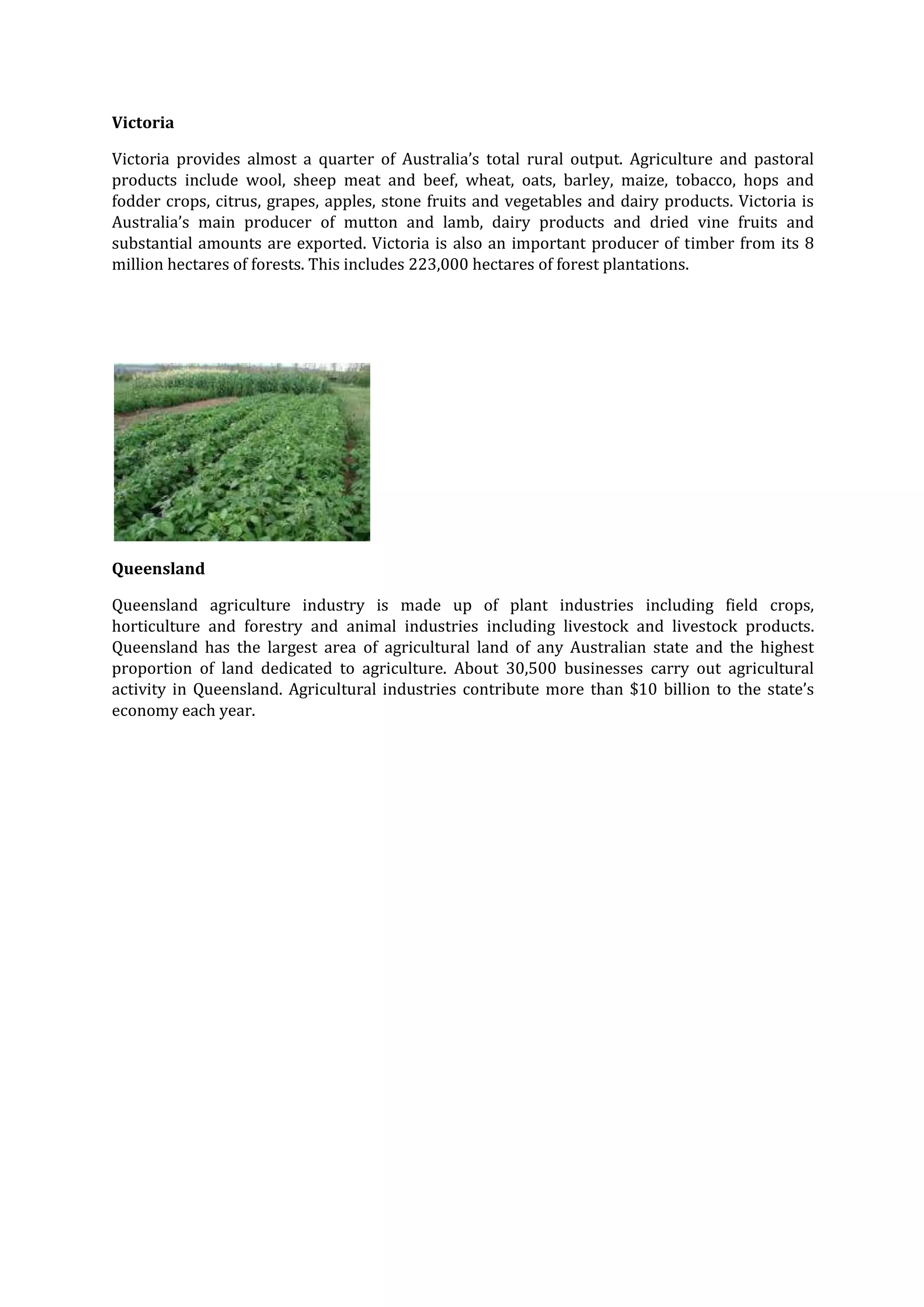 Victoria
Victoria provides almost a quarter of Australia’s total rural output. Agriculture and pastoral
products include wool, sheep meat and beef, wheat, oats, barley, maize, tobacco, hops and
fodder crops, citrus, grapes, apples, stone fruits and vegetables and dairy products. Victoria is
Australia’s main producer of mutton and lamb, dairy products and dried vine fruits and
substantial amounts are exported. Victoria is also an important producer of timber from its 8
million hectares of forests. This includes 223,000 hectares of forest plantations.

Queensland
Queensland agriculture industry is made up of plant industries including field crops,
horticulture and forestry and animal industries including livestock and livestock products.
Queensland has the largest area of agricultural land of any Australian state and the highest
proportion of land dedicated to agriculture. About 30,500 businesses carry out agricultural
activity in Queensland. Agricultural industries contribute more than $10 billion to the state’s
economy each year.

 