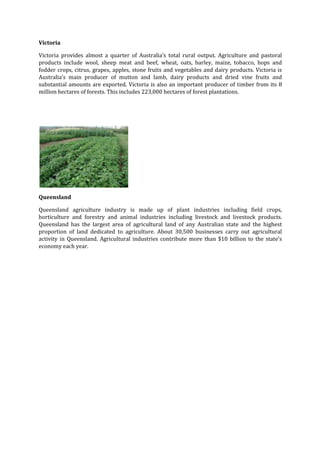 Victoria
Victoria provides almost a quarter of Australia’s total rural output. Agriculture and pastoral
products include wool, sheep meat and beef, wheat, oats, barley, maize, tobacco, hops and
fodder crops, citrus, grapes, apples, stone fruits and vegetables and dairy products. Victoria is
Australia’s main producer of mutton and lamb, dairy products and dried vine fruits and
substantial amounts are exported. Victoria is also an important producer of timber from its 8
million hectares of forests. This includes 223,000 hectares of forest plantations.

Queensland
Queensland agriculture industry is made up of plant industries including field crops,
horticulture and forestry and animal industries including livestock and livestock products.
Queensland has the largest area of agricultural land of any Australian state and the highest
proportion of land dedicated to agriculture. About 30,500 businesses carry out agricultural
activity in Queensland. Agricultural industries contribute more than $10 billion to the state’s
economy each year.

 