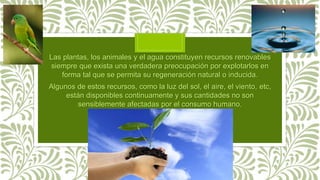 Las plantas, los animales y el agua constituyen recursos renovables
siempre que exista una verdadera preocupación por explotarlos en
forma tal que se permita su regeneración natural o inducida.
Algunos de estos recursos, como la luz del sol, el aire, el viento, etc,
están disponibles continuamente y sus cantidades no son
sensiblemente afectadas por el consumo humano.
 