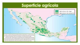 Superficie agrícola
 