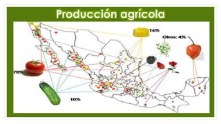 Producción agrícola
 