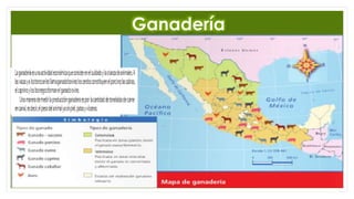 Ganadería
 