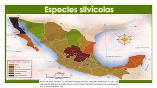 Especies silvícolas
 