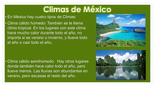 Climas de México
• En México hay cuatro tipos de Climas:
• Clima cálido húmedo: También se le llama
clima tropical. En los lugares con este clima
hace mucho calor durante todo el año, no
importa si es verano o invierno, y llueve todo
el año o casi todo el año.
• Clima cálido semihúmedo: Hay otros lugares
donde también hace calor todo el año, pero
llueve menos. Las lluvias son abundantes en
verano, pero escasas el resto del año.
 