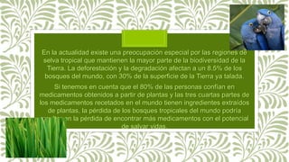 En la actualidad existe una preocupación especial por las regiones de
selva tropical que mantienen la mayor parte de la biodiversidad de la
Tierra. La deforestación y la degradación afectan a un 8.5% de los
bosques del mundo, con 30% de la superficie de la Tierra ya talada.
Si tenemos en cuenta que el 80% de las personas confían en
medicamentos obtenidos a partir de plantas y las tres cuartas partes de
los medicamentos recetados en el mundo tienen ingredientes extraídos
de plantas, la pérdida de los bosques tropicales del mundo podría
resultar en la pérdida de encontrar más medicamentos con el potencial
de salvar vidas.
 