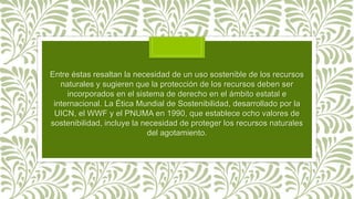 Entre éstas resaltan la necesidad de un uso sostenible de los recursos
naturales y sugieren que la protección de los recursos deben ser
incorporados en el sistema de derecho en el ámbito estatal e
internacional. La Ética Mundial de Sostenibilidad, desarrollado por la
UICN, el WWF y el PNUMA en 1990, que establece ocho valores de
sostenibilidad, incluye la necesidad de proteger los recursos naturales
del agotamiento.
 