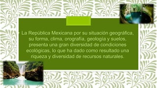 • La República Mexicana por su situación geográfica,
su forma, clima, orografía, geología y suelos,
presenta una gran diversidad de condiciones
ecológicas, lo que ha dado como resultado una
riqueza y diversidad de recursos naturales.
 