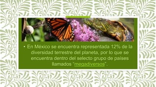 • En México se encuentra representada 12% de la
diversidad terrestre del planeta, por lo que se
encuentra dentro del selecto grupo de países
llamados “megadiversos”.
 