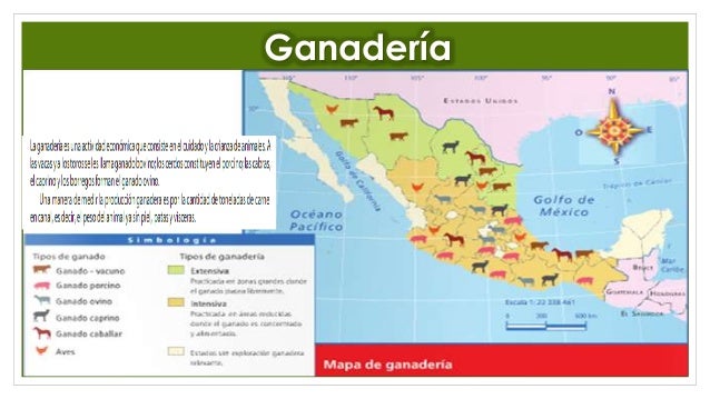 Recursos Naturales en México
