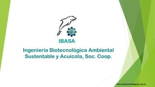 Ingeniería Biotecnológica Ambiental
Sustentable y Acuícola, Soc. Coop.
www.tratamientodeaguas.org.mx
 